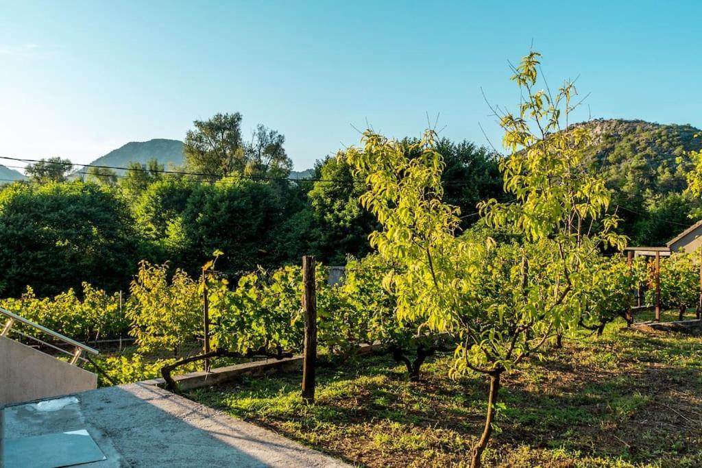Pavle'S Oasis Villa Virpazar Exterior foto